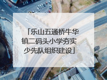 乐山五通桥牛华镇二码头小学夯实少先队组织建设